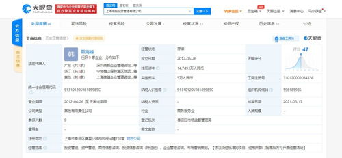商務信息咨詢的價值與落地路徑解析